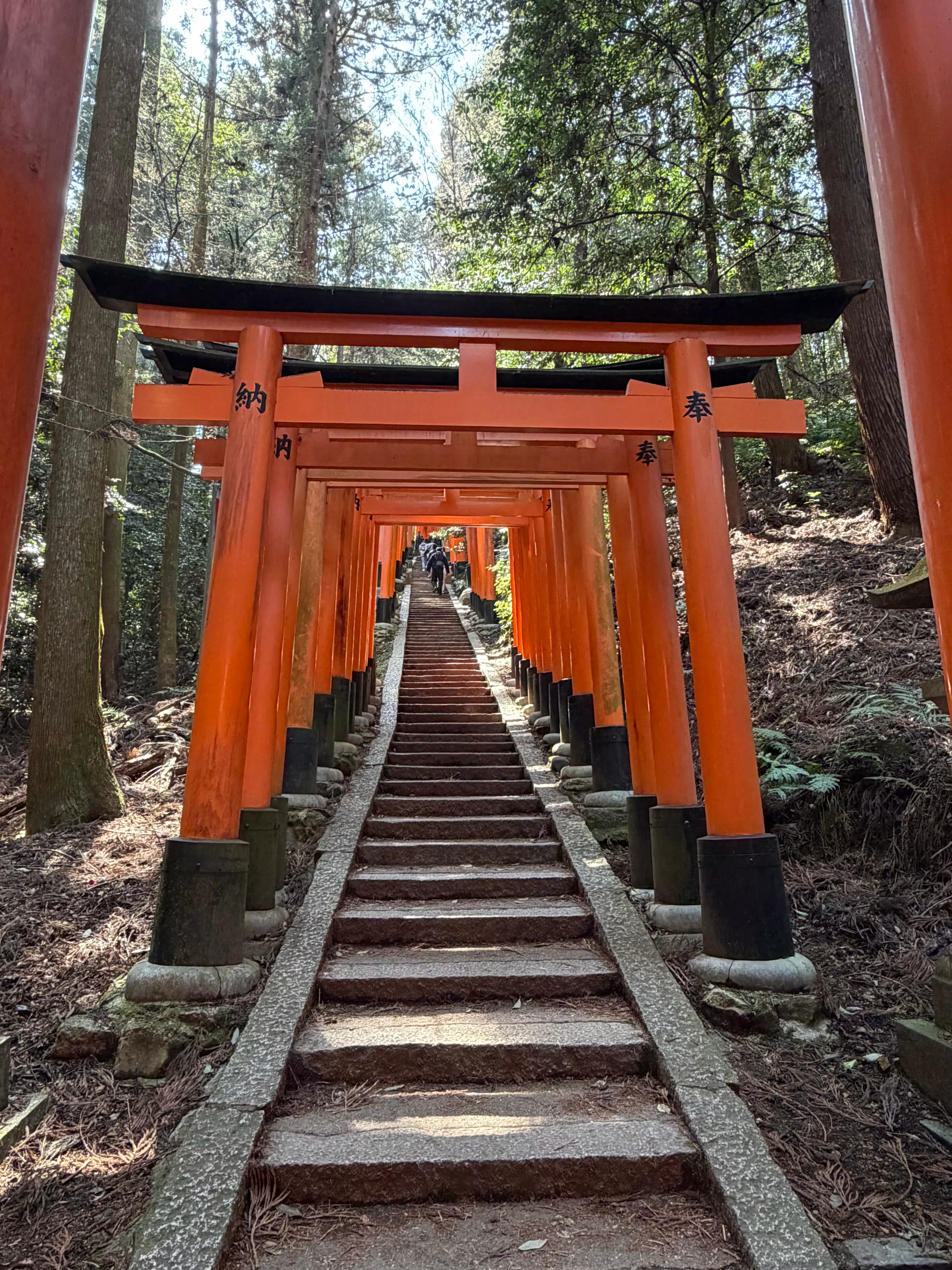 Fushimi Inari Taisha