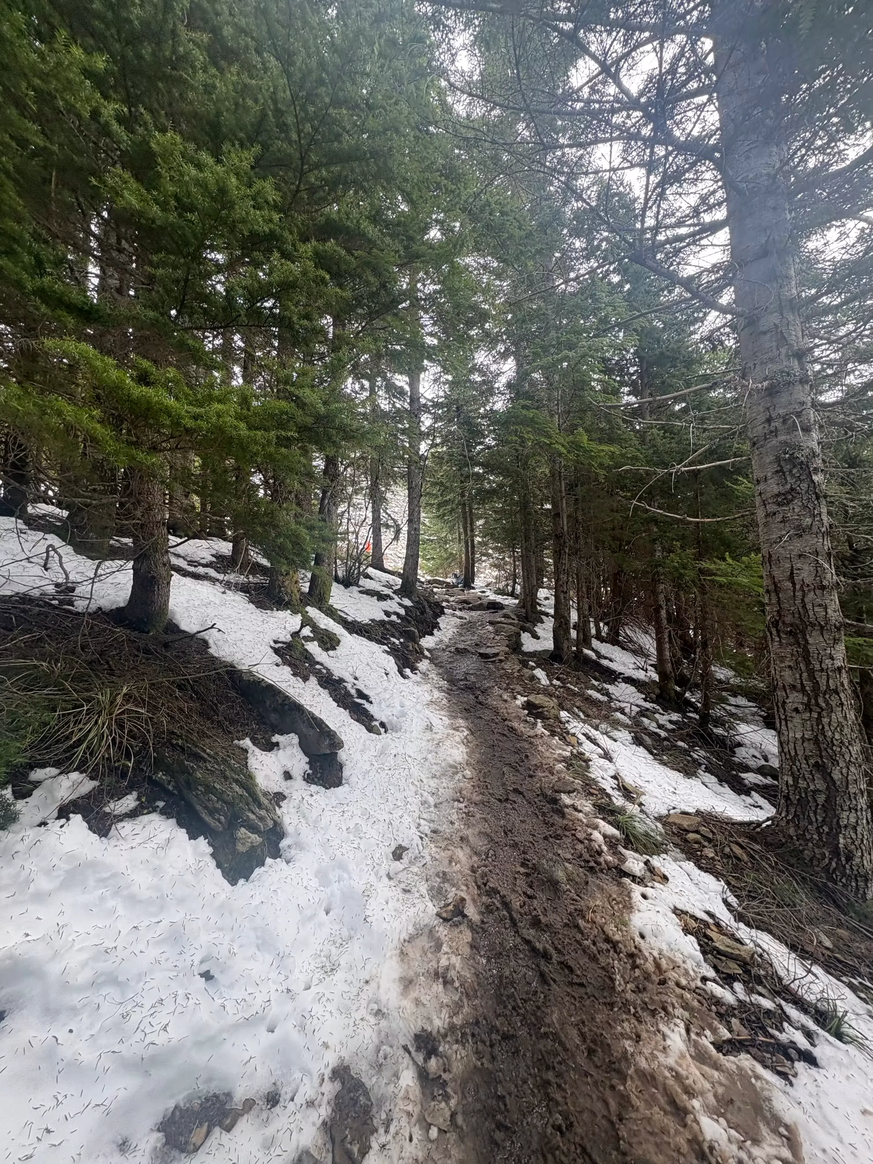 Mailbox Peak Old Trail