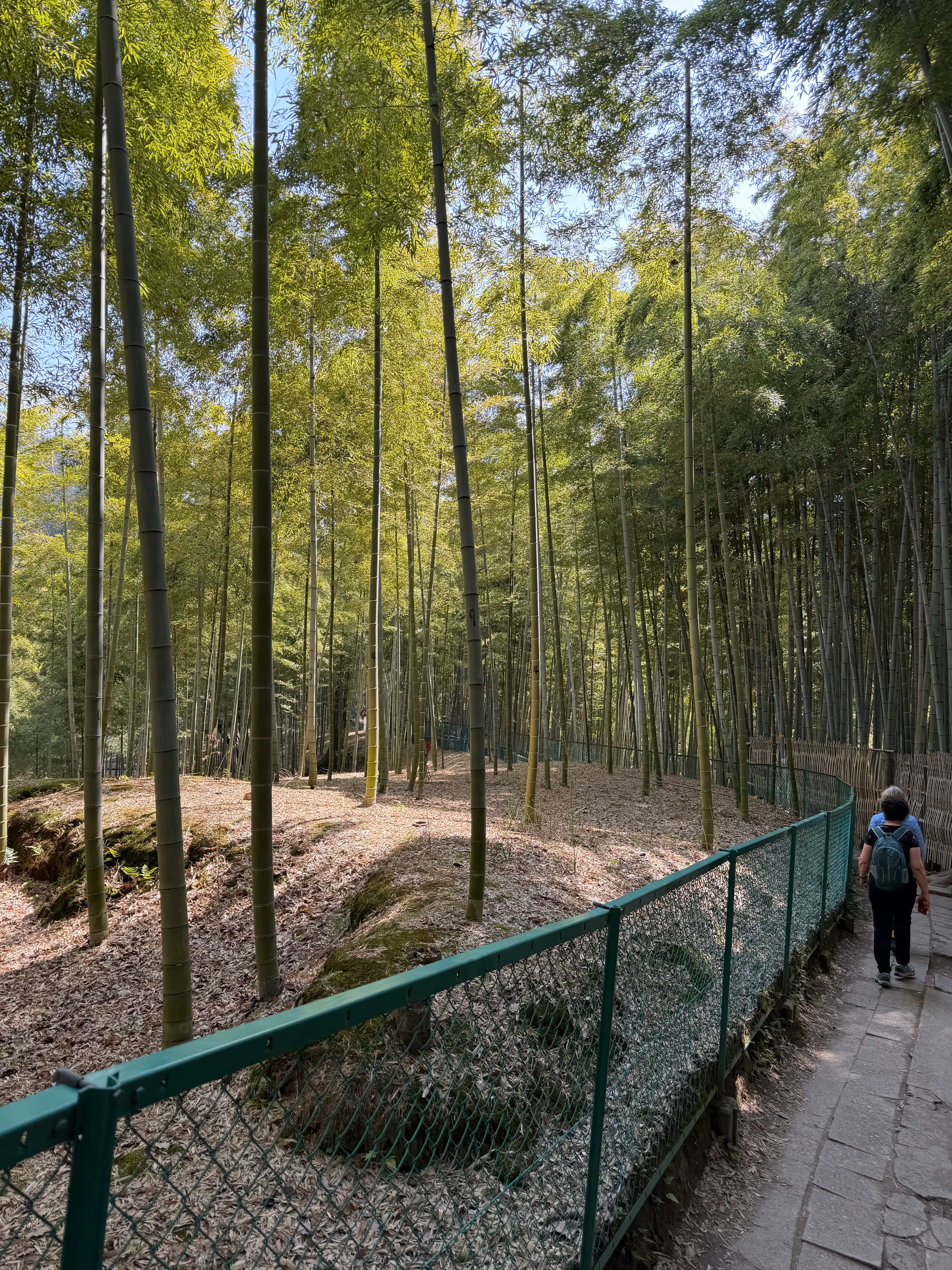 Fushimi Inari Taisha