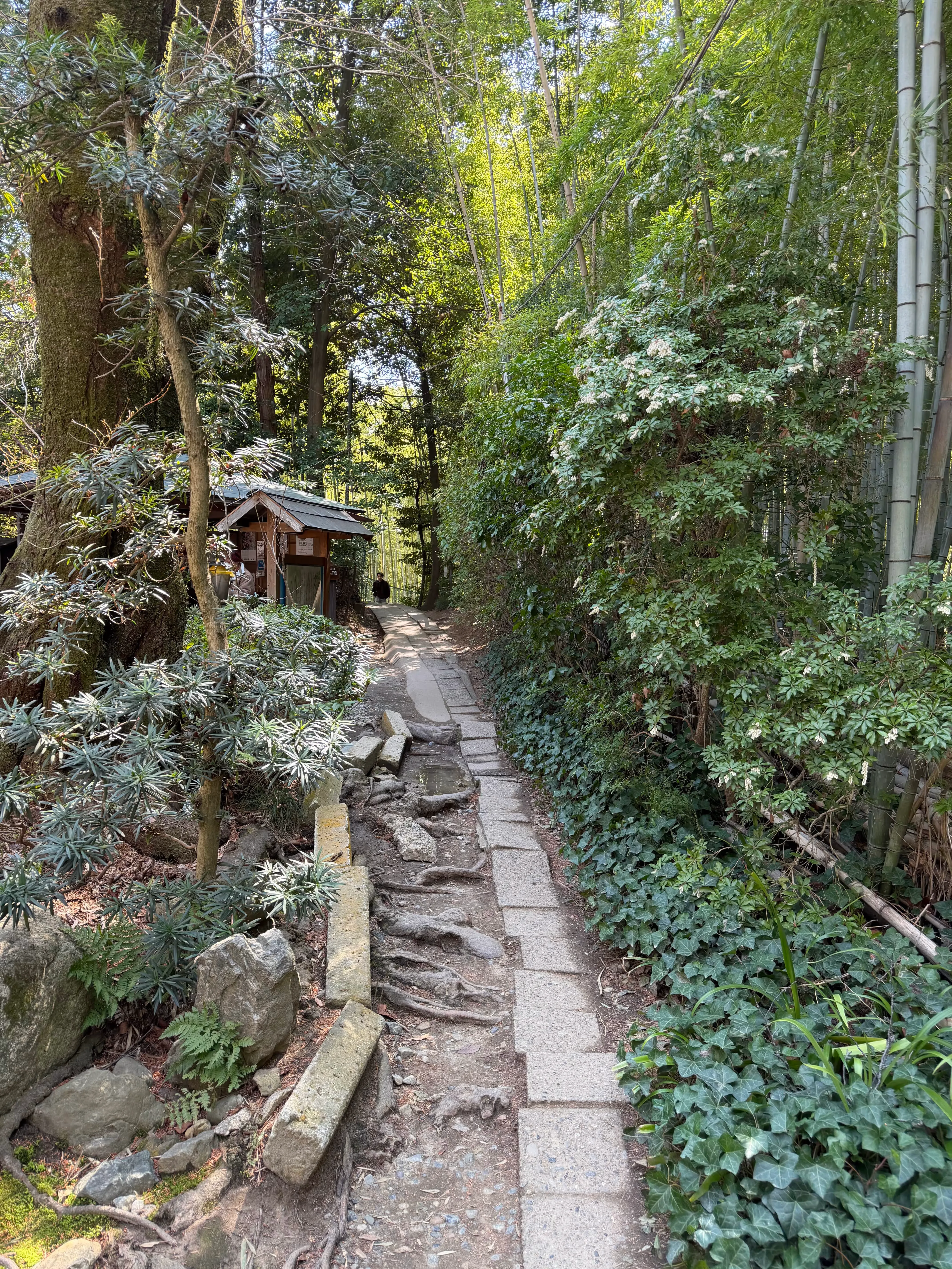 Fushimi Inari Taisha
